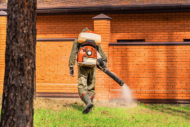 Trusted Cockroach Control service in Manheim, PA - Nex Pest Control